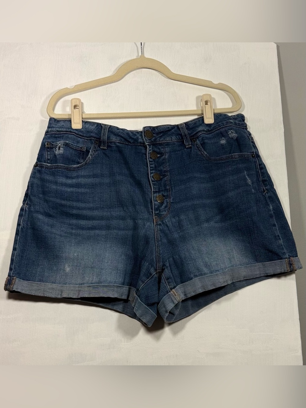 Time and Tru Dark Blue Button-Front Denim Shorts